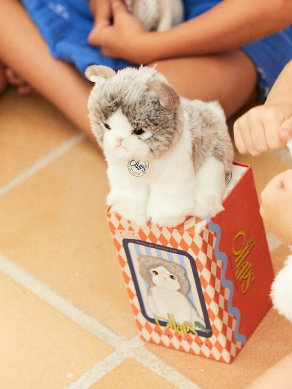 Amelie the Scottish Fold in Gift Box Plush BT Chaps
