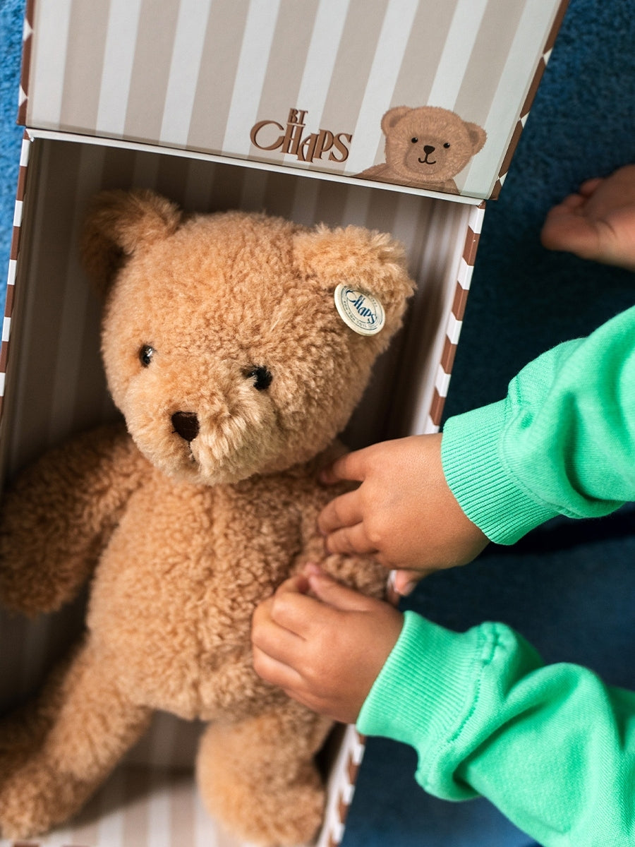 Gus the Homie Bear in Gift Box Plush BT Chaps