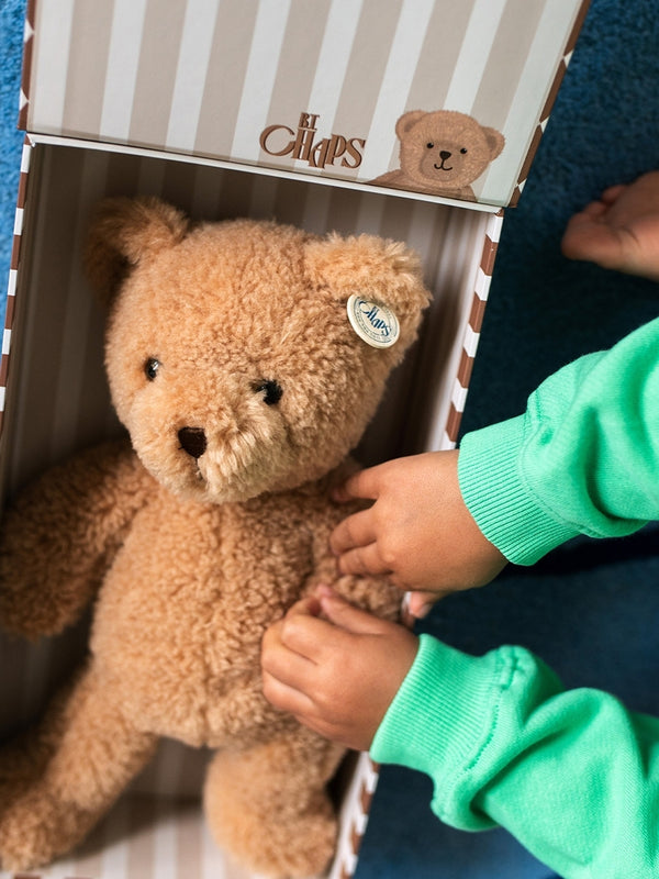 Gus the Homie Bear in Gift Box Plush BT Chaps