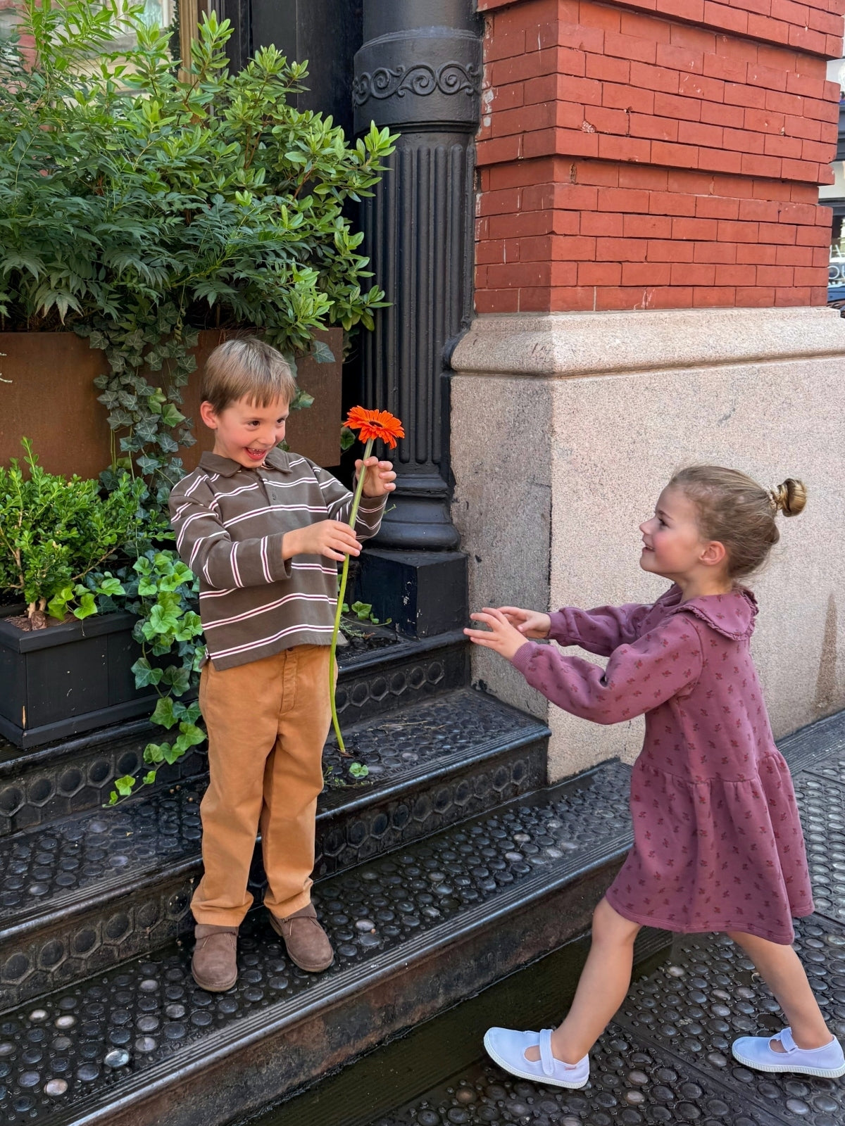 Fine Stripe Polo Sweatshirt - Khaki Tops Emile et Ida