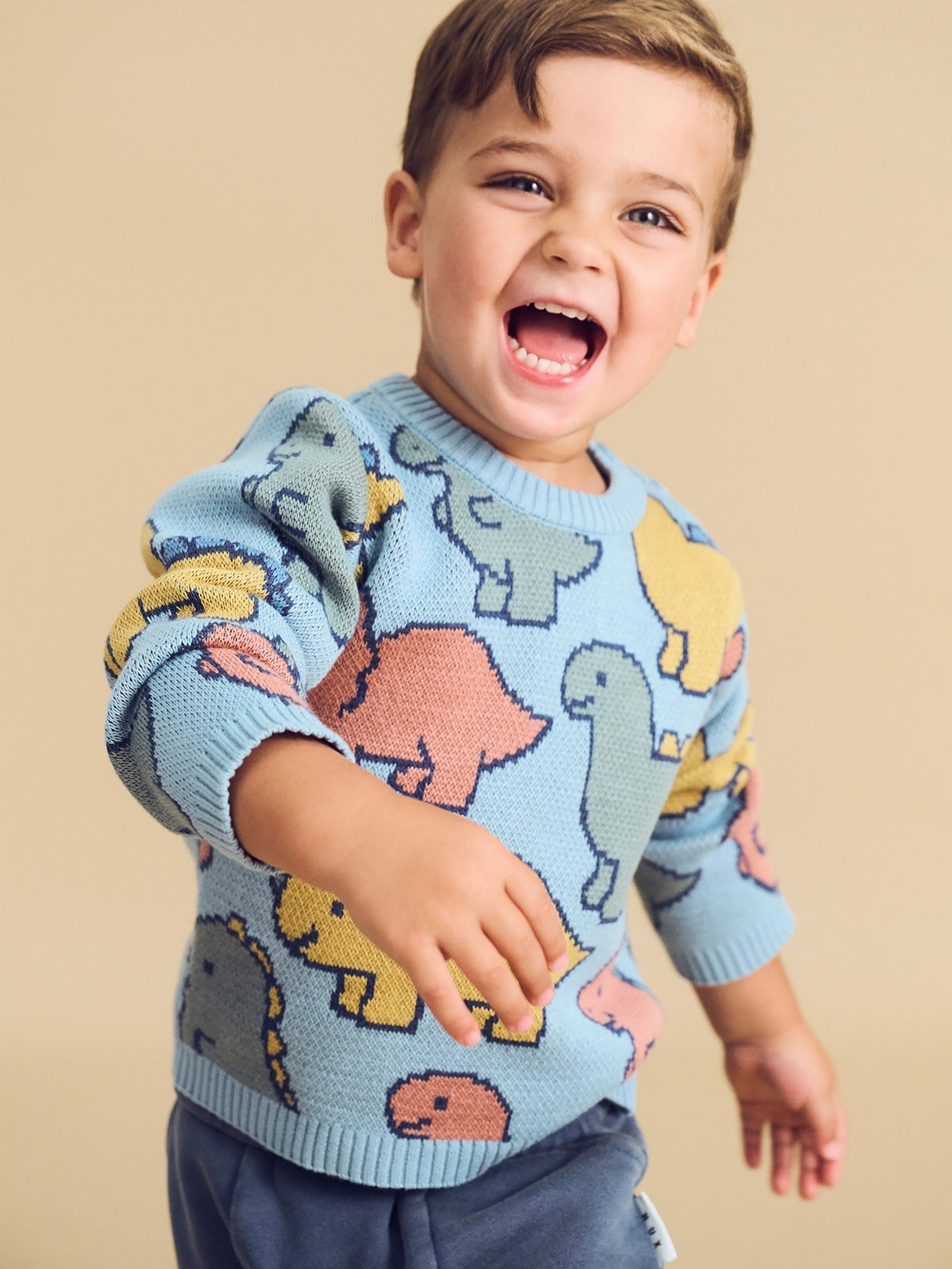 Allover Dino Sweater Sweaters Huxbaby