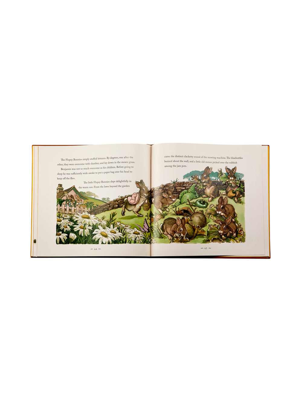 Peter Rabbit Leather Bound Book Books Graphic Image