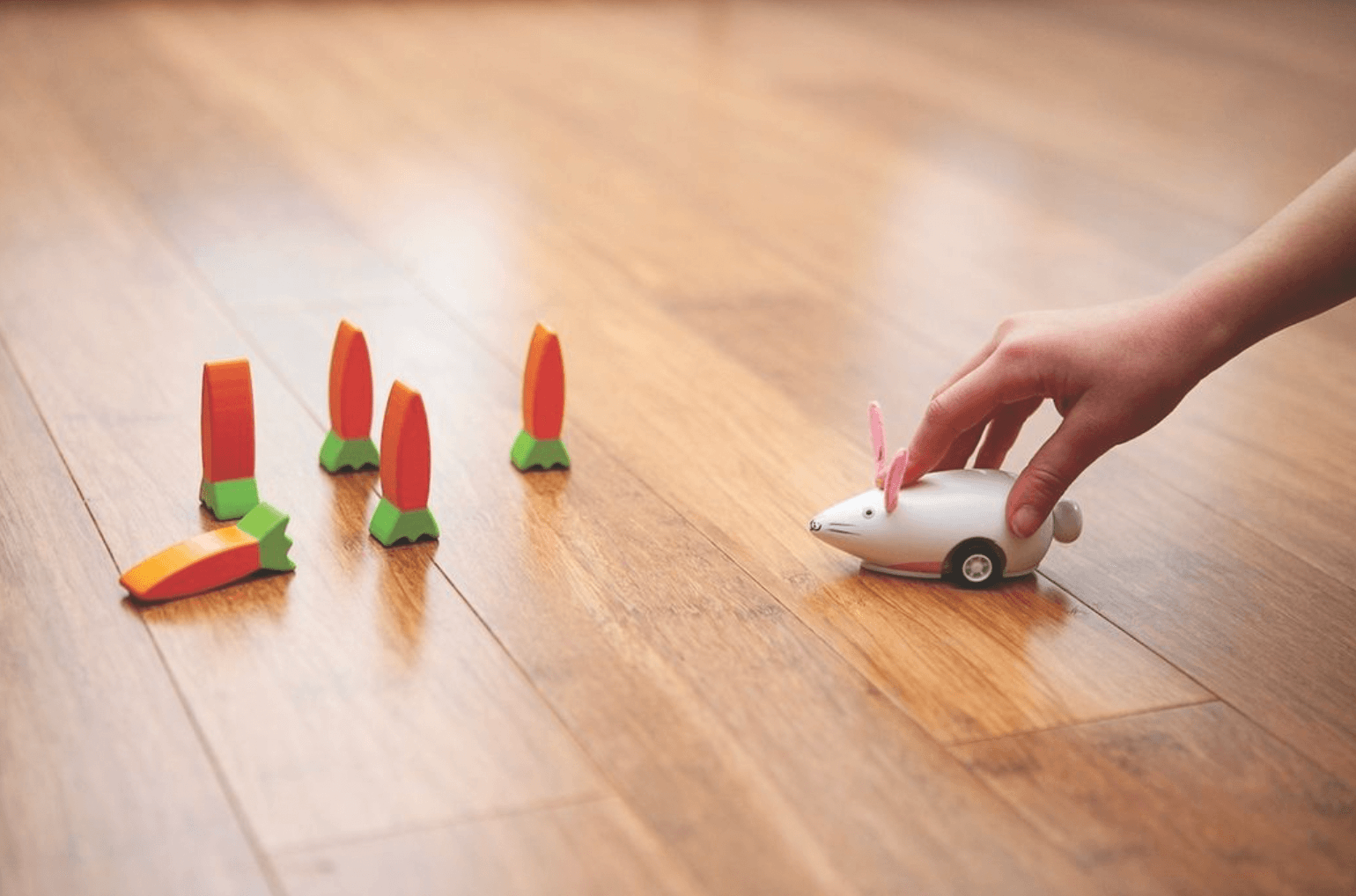 jackrabbit carrot toys