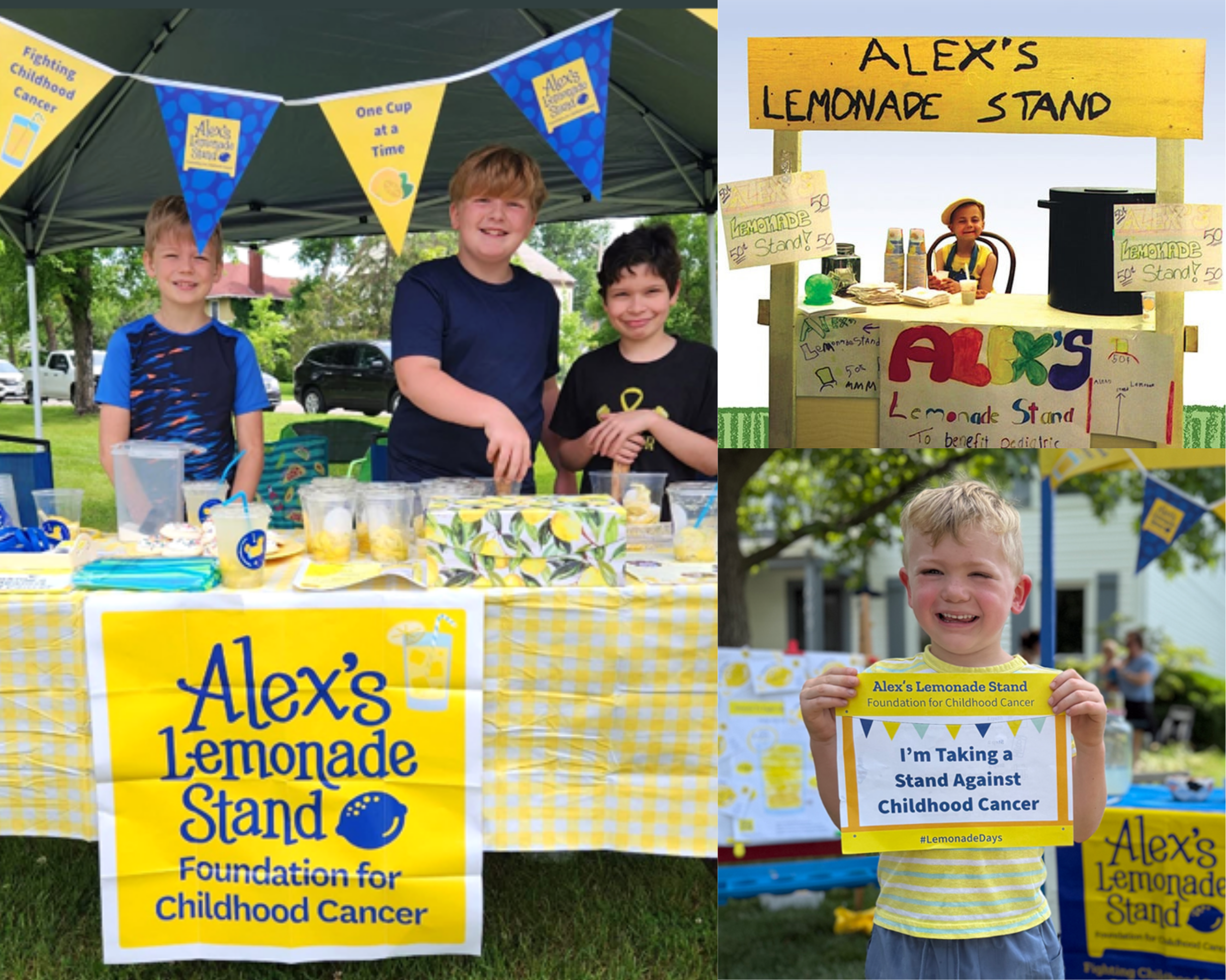 alexs lemonade stand foundation