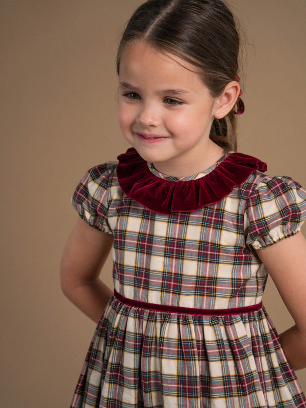 Tartan Raisin Dress