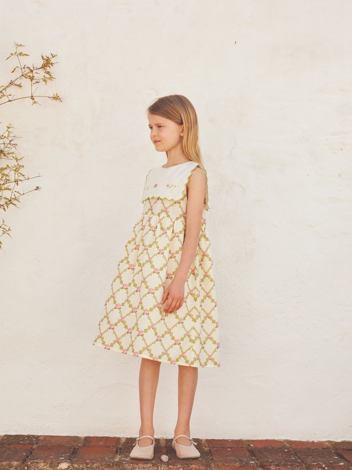 Charlotte Rose Dress Dresses Bebe Organic