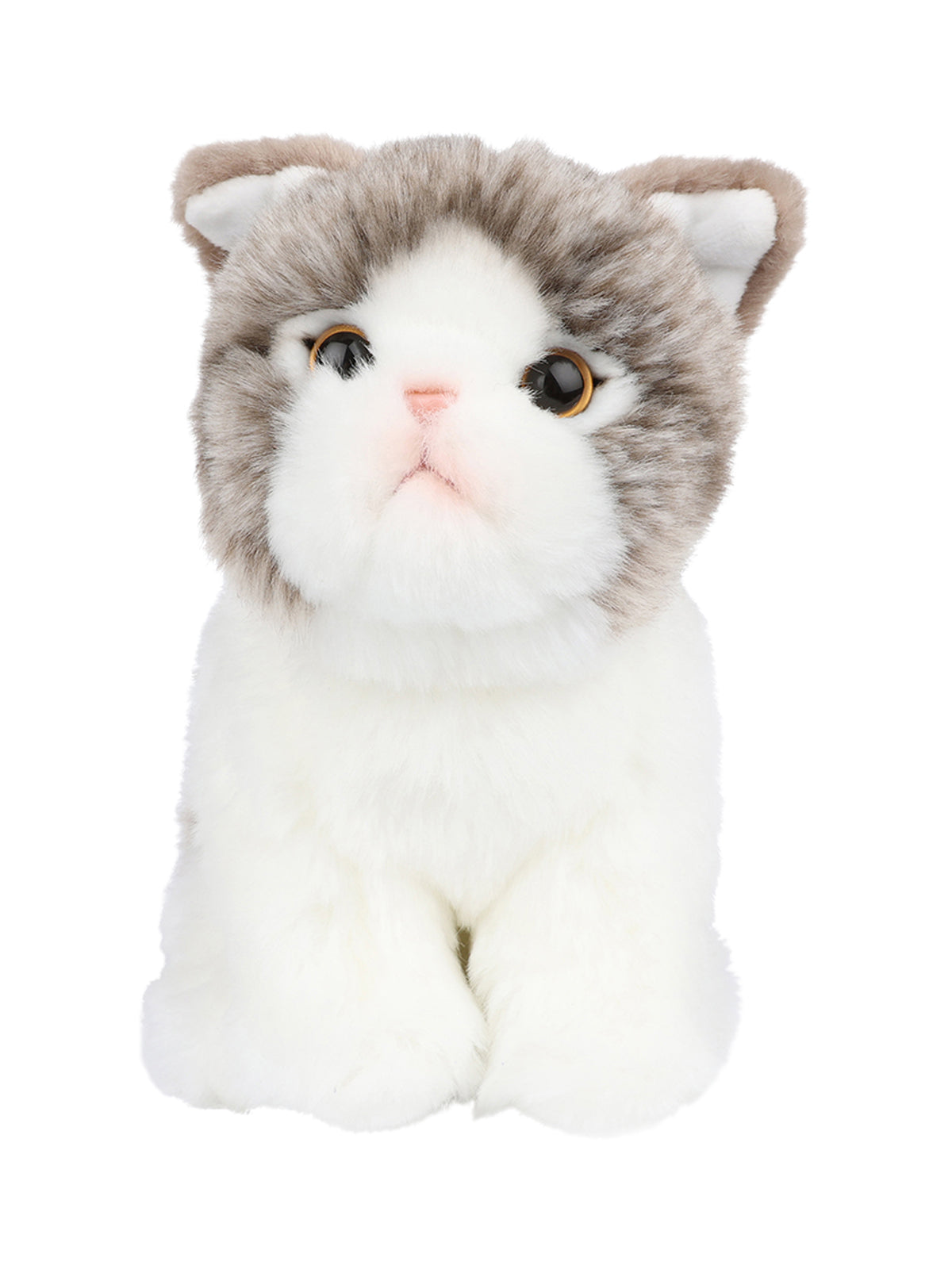 Amelie the Scottish Fold in Gift Box Plush BT Chaps   