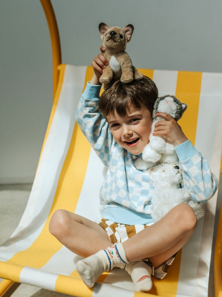 Amelie the Scottish Fold in Gift Box Plush BT Chaps   