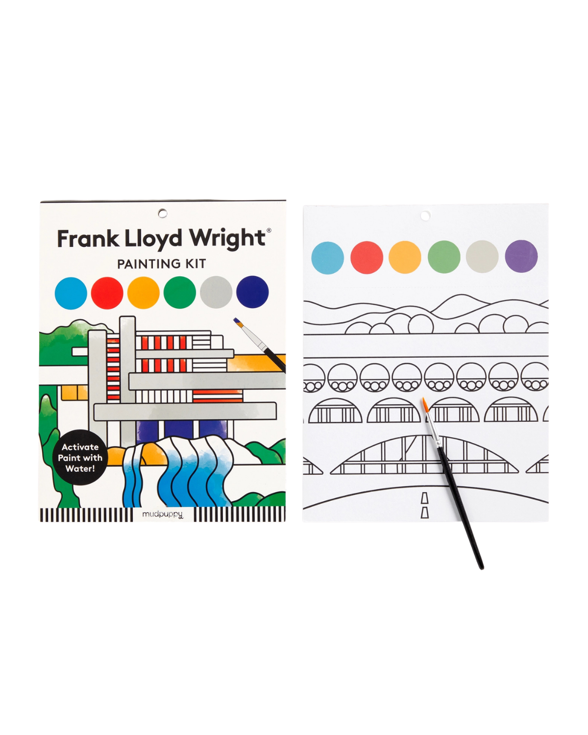 Frank Lloyd Wright Painting Kit Arts & Crafts Chronicle Books