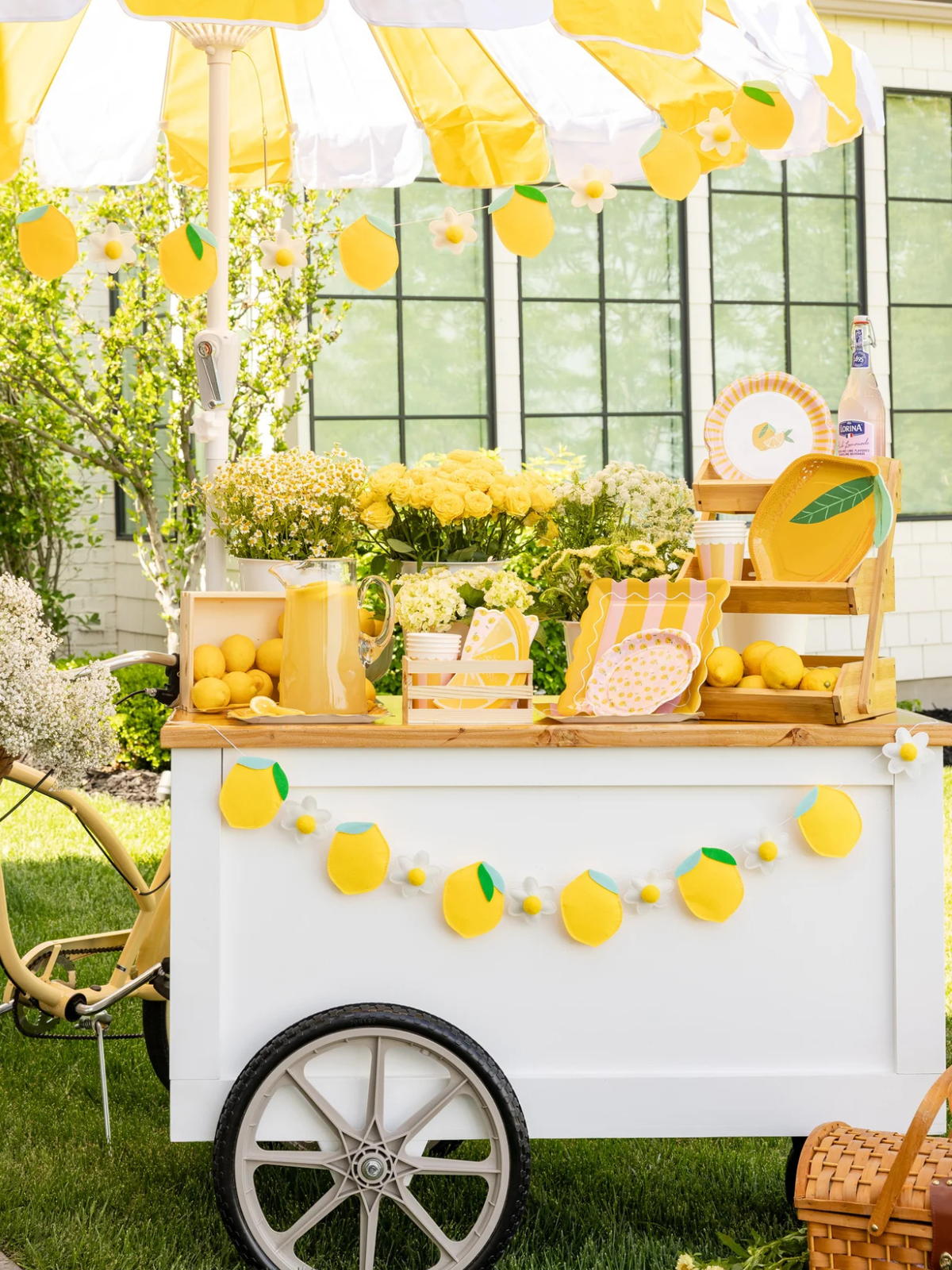 Lemonade Days Kit Party Supplies Danrie