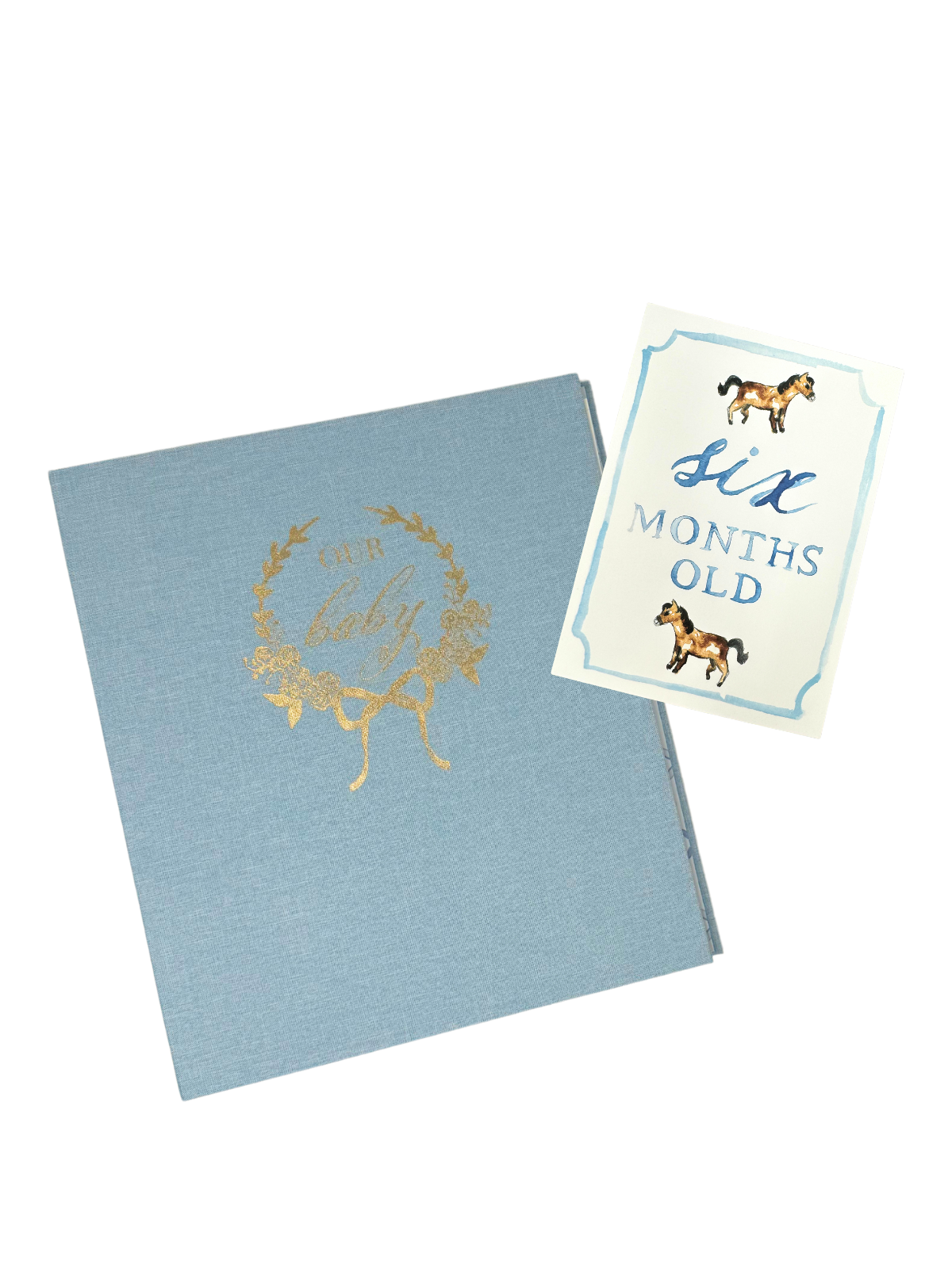 Monthly Milestone Card Set - Pink Party Supplies Over The Moon   