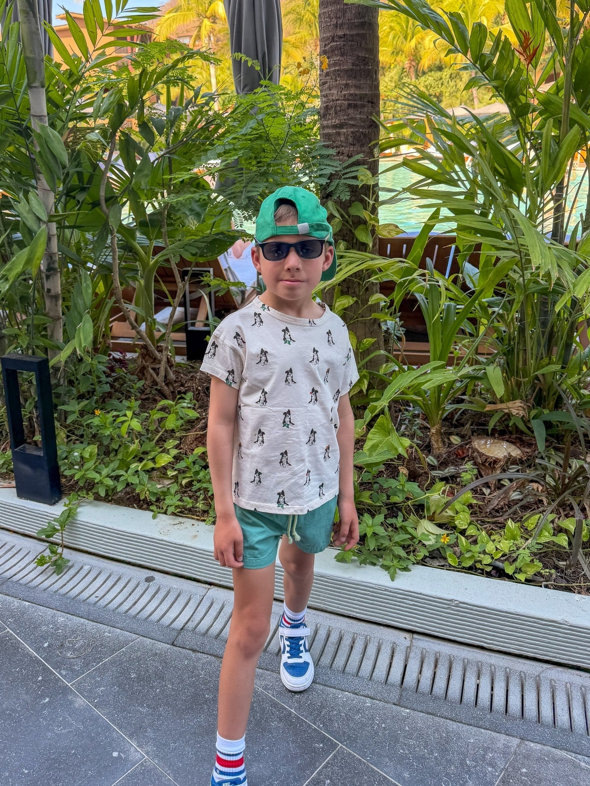 Border Collie T-Shirt Tees Emile et Ida