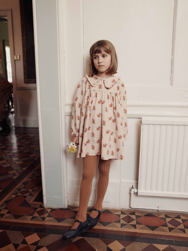 Wildflower Ruffle Collar Dress Dresses Emile et Ida