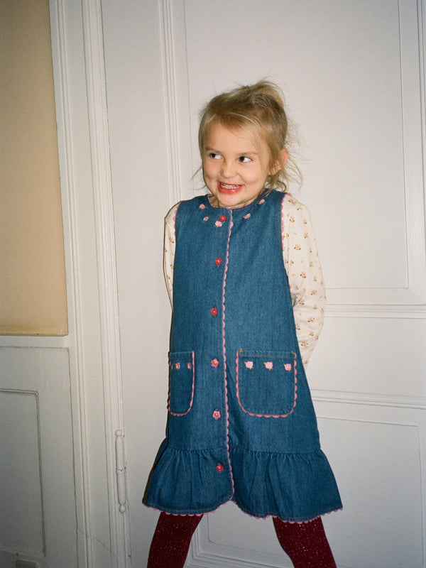 Monique Embroidered Denim Dress