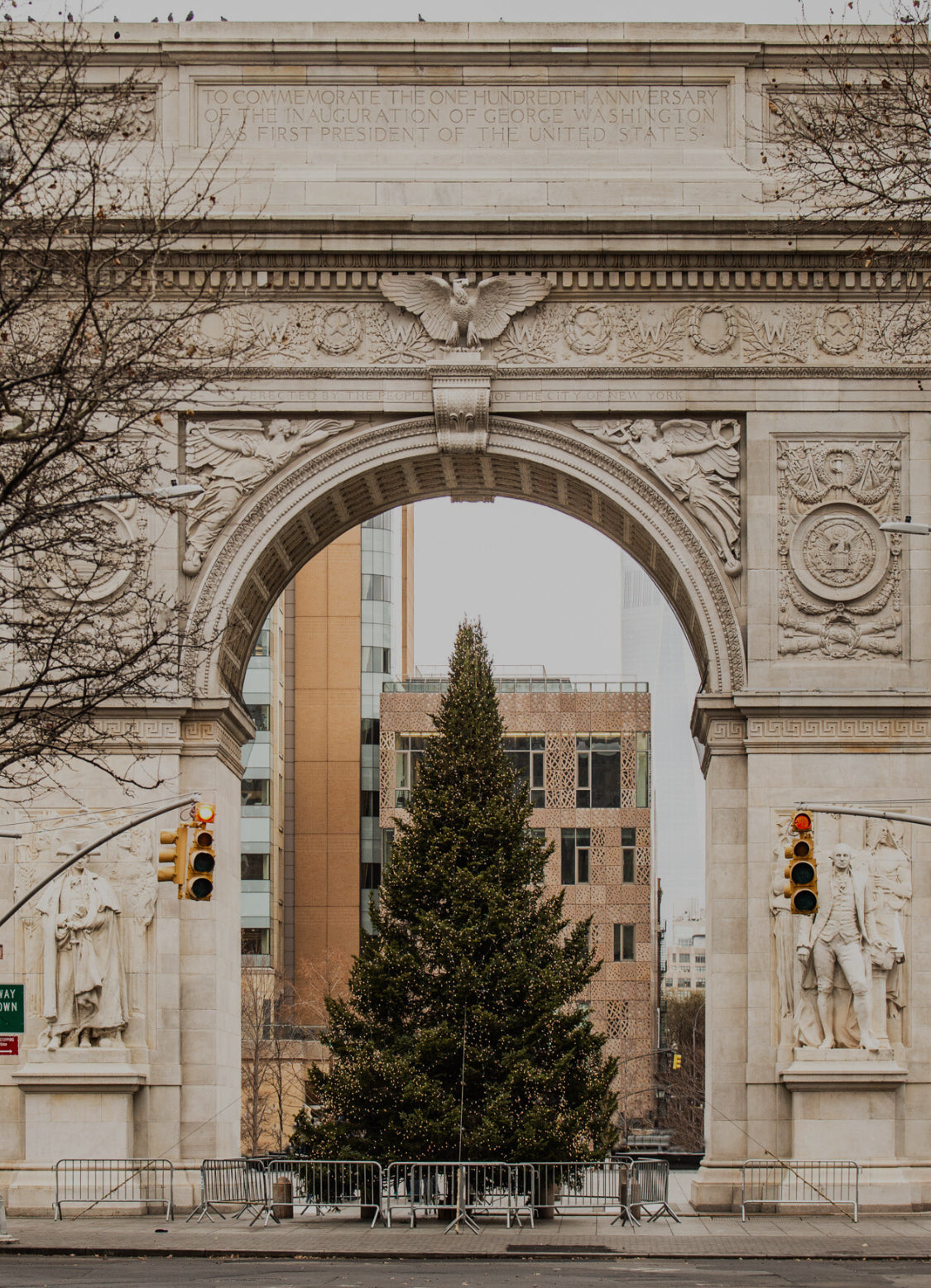 tree in new york city