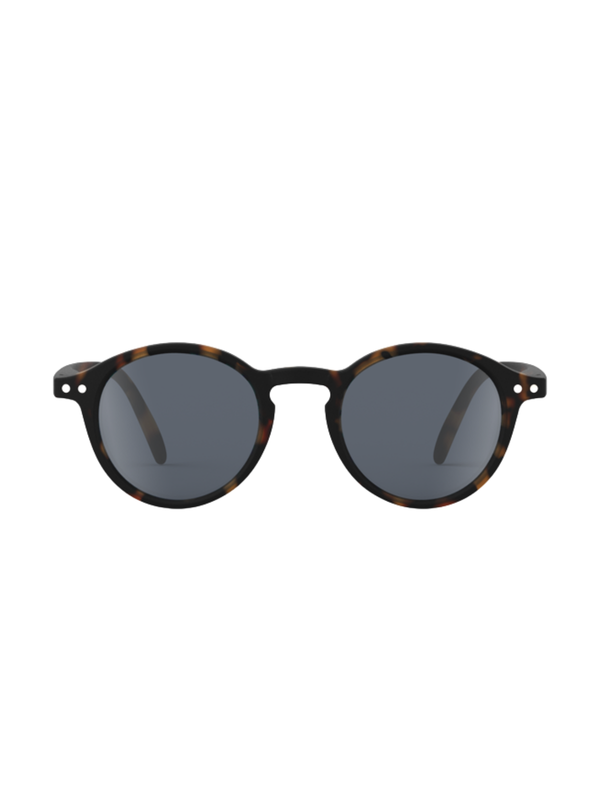 Tortoise Polarized Sunglasses