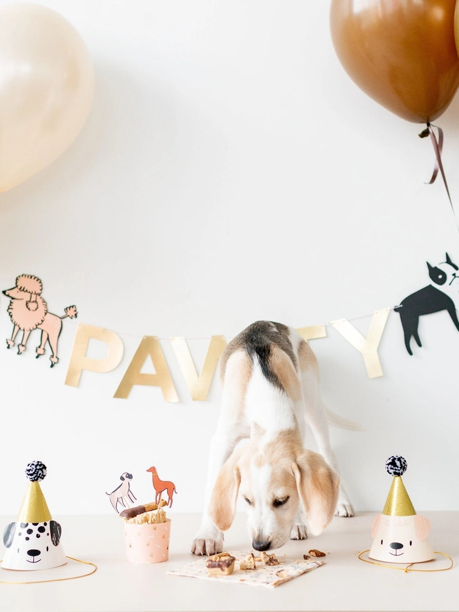 Bow Wow Party Hats Party Supplies Jollity & Co. + Daydream Society   