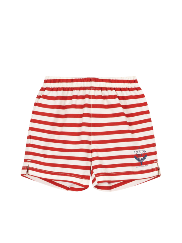 Asnou Stripe Swim Shorts Swim Konges Sløjd