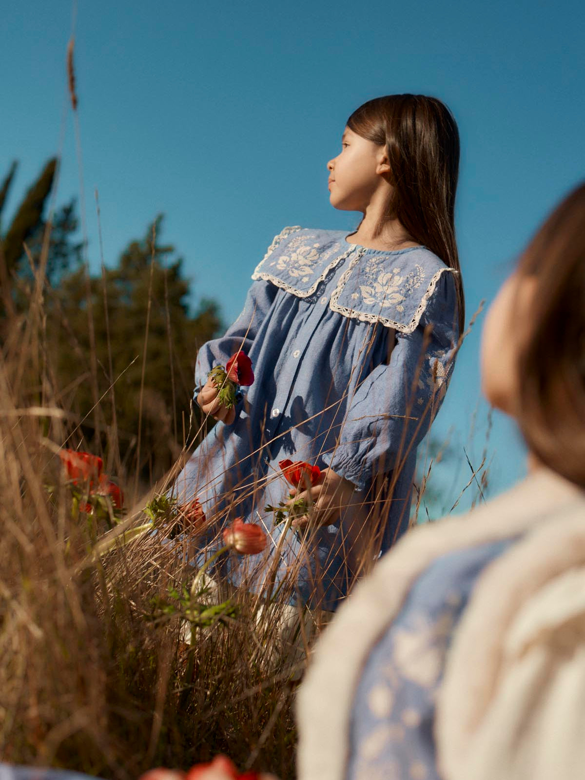 Hyacinte Statement Collar Dress Dresses Louise Misha