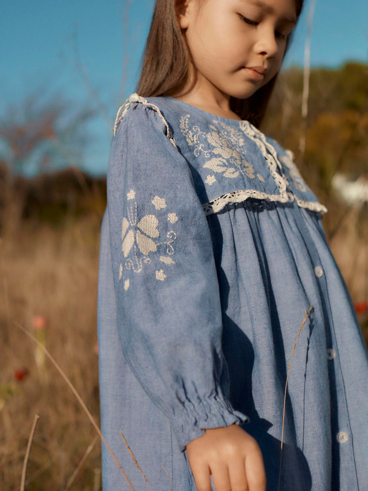 Hyacinte Statement Collar Dress Dresses Louise Misha