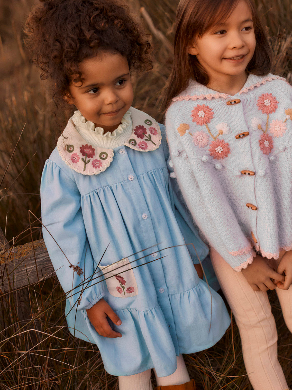 Ysee Embroidered Dress Dresses Louise Misha