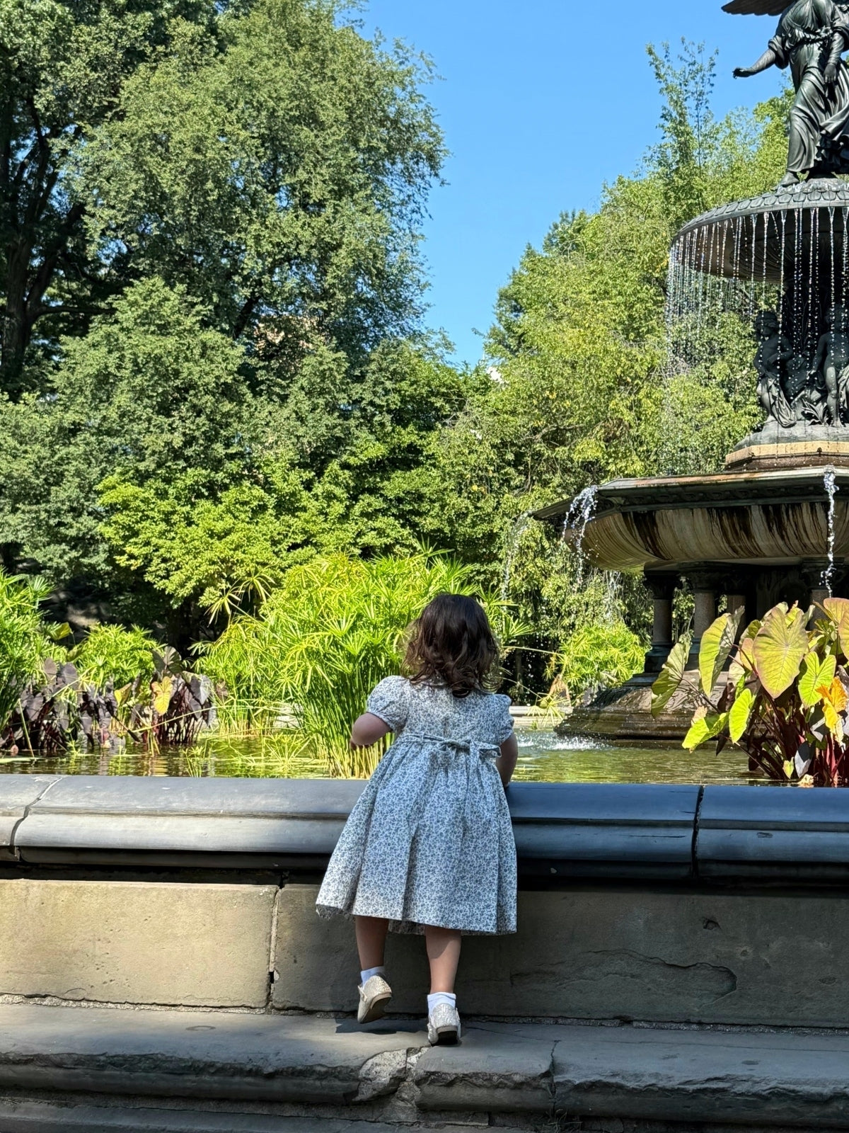 Blue Mulberry Smocked Babydoll Dress Dresses Luli & Me