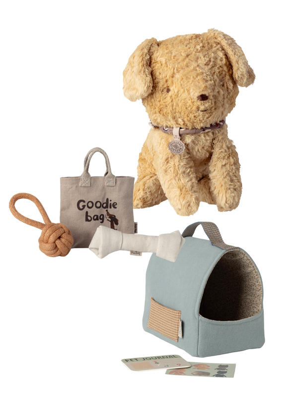 Puppy with Toys and Carrier