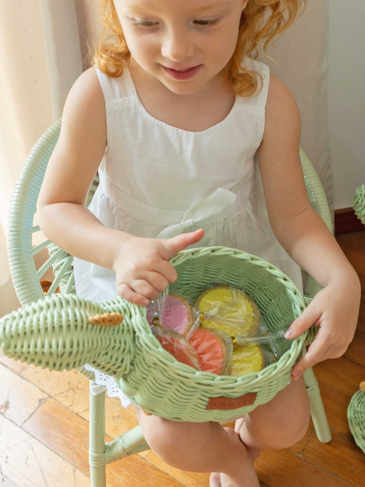 Small Dinosaur Basket Pretend Play Momiji