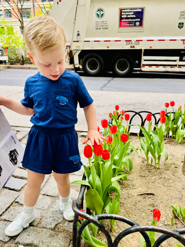 Planet Graphic Shorts Set Sets Mini Rodini