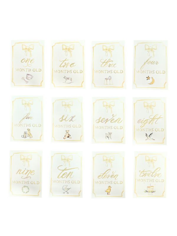 Monthly Milestone Card Set - Neutral Party Supplies Over The Moon   