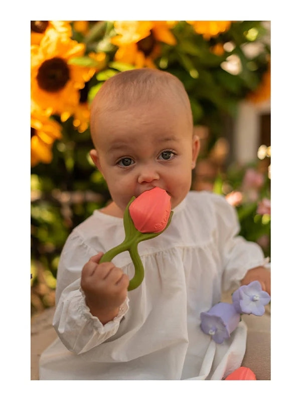 Theo the Tulip Teether Baby Toys Oli & Carol   