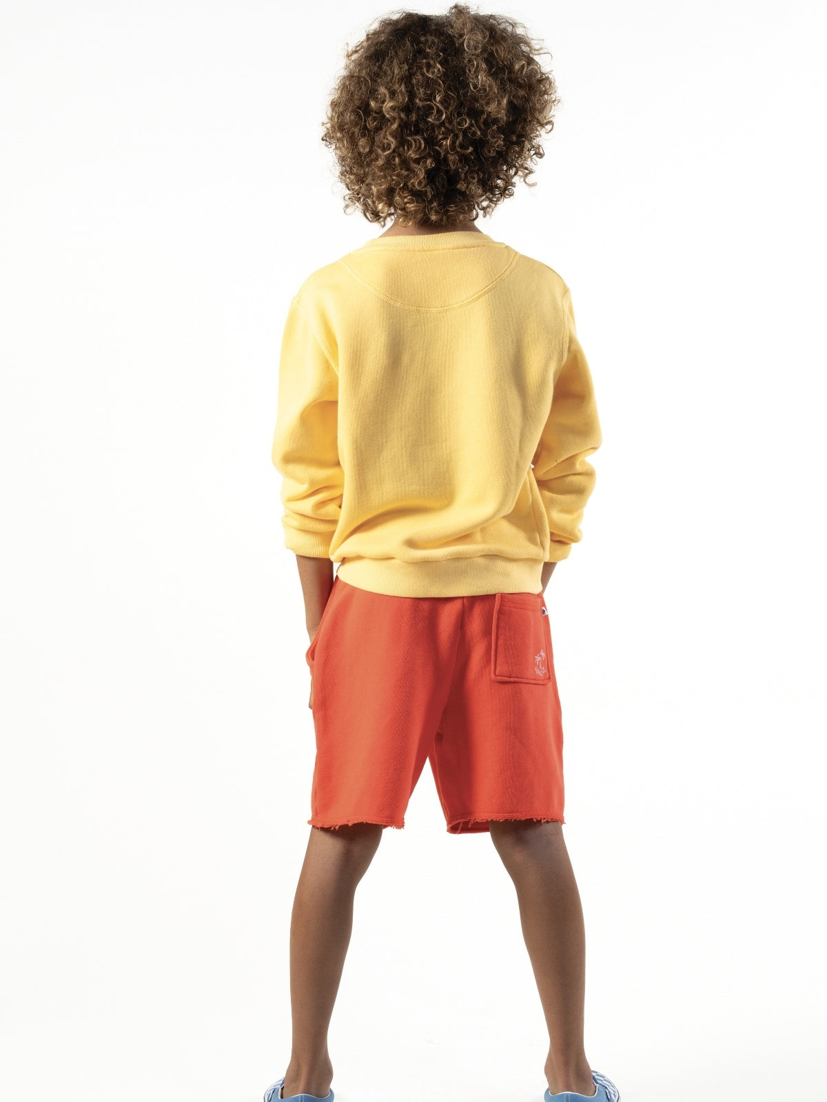 Hamptons Lobster Sweatshirt - Yellow Sweatshirts Sunchild