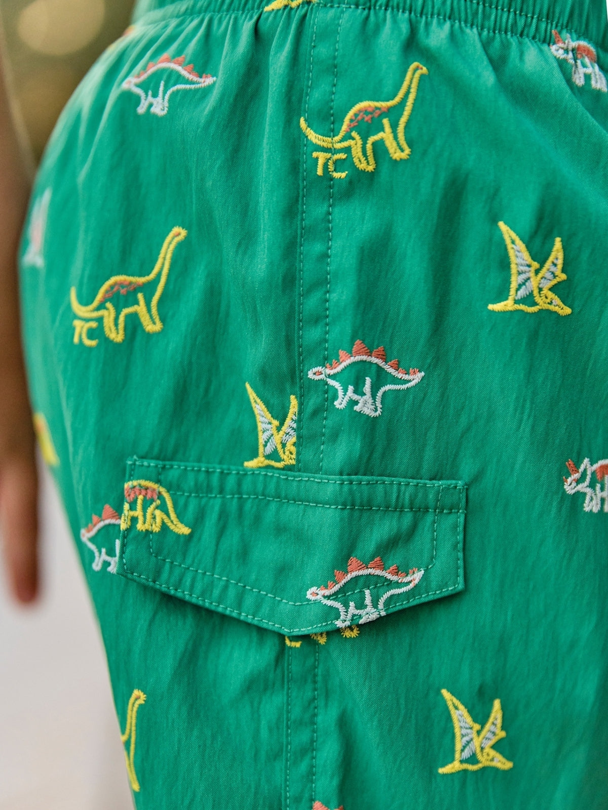 Dino Print Swim Shorts Swim Tartine et Chocolat