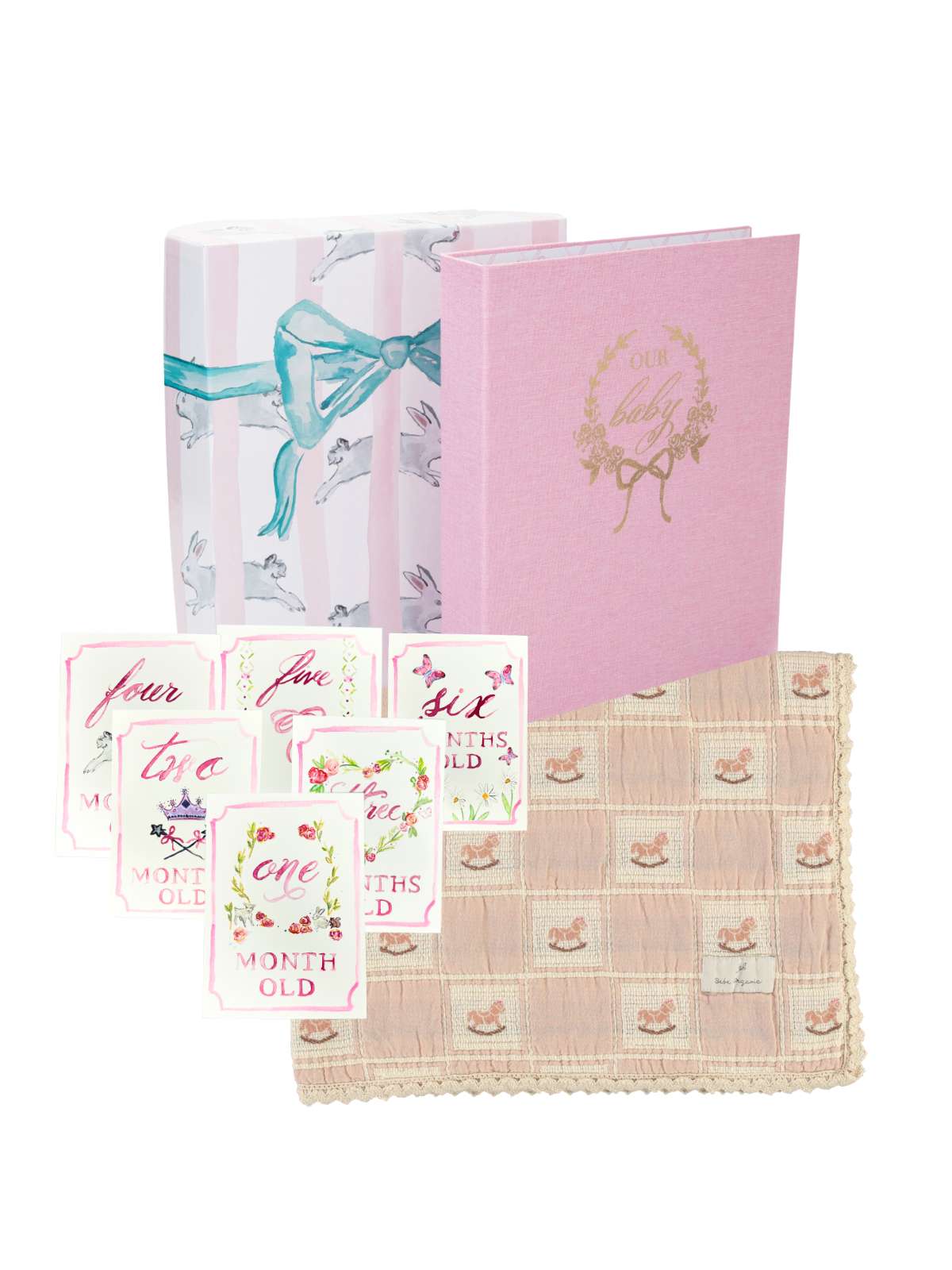 The Perfect Baby Gift Bundle Bundle Danrie