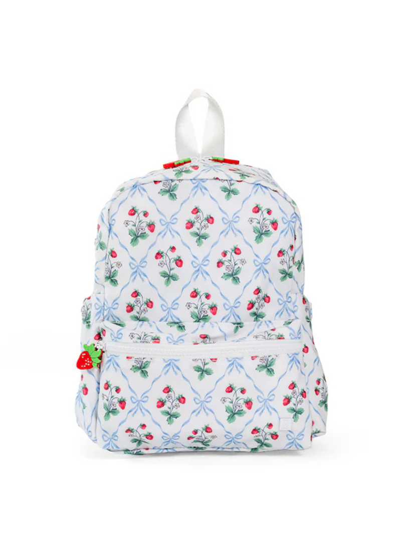 dark berry mini backpack Backer club: Lakeville Soccer Club 2025-2027 SKU:13250-01 inspired accessories Best Anti Theft Bag