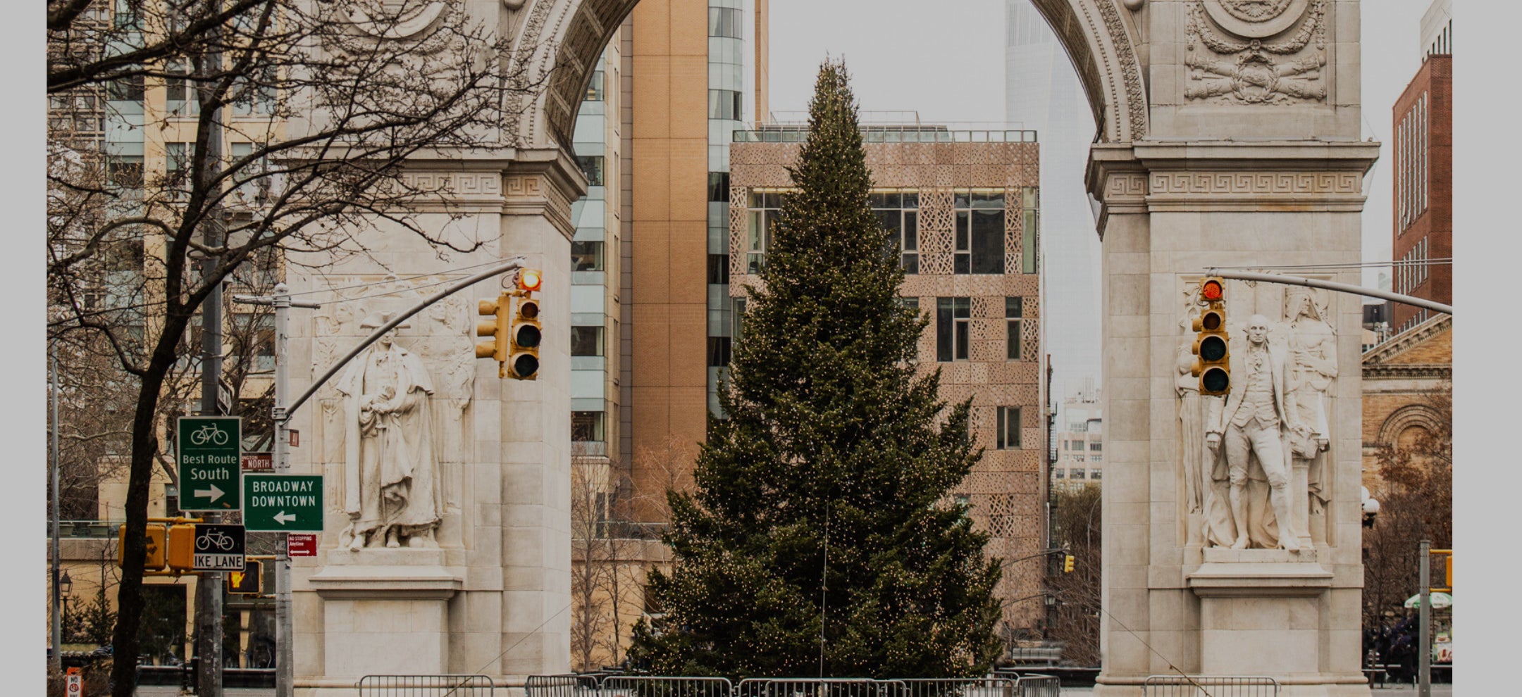 tree in new york city