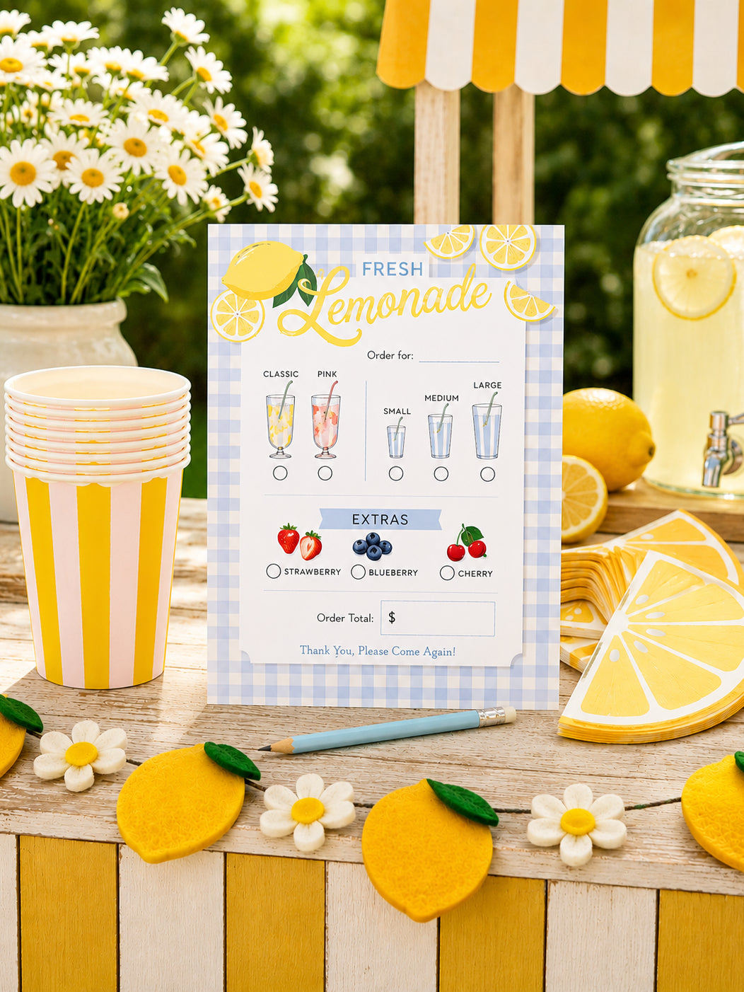 Lemonade Days Kit Party Supplies Danrie
