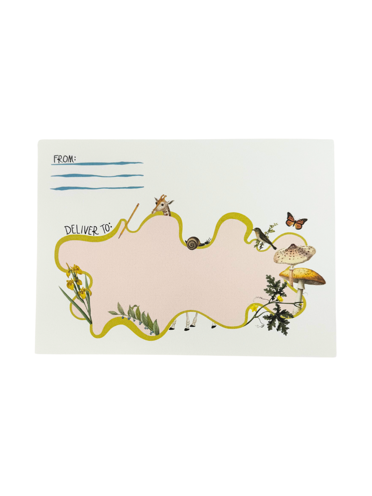 Thank You Stationery Cards Virginia Hart x Danrie